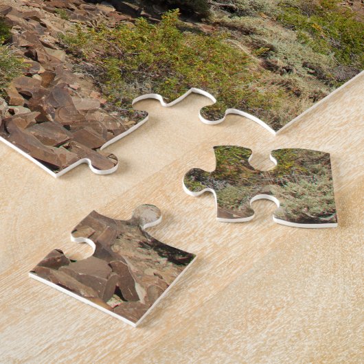 Ancient Bristlecone Puzzle (Seite)