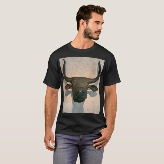 Ancient Bull T-Shirt (Vorne ganz)