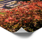 Ancient Delphi Greece Ruins Photo Print – Historic Poster (Ecke)