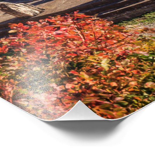 Ancient Delphi, Griechenland Fotodruck (Ecke)