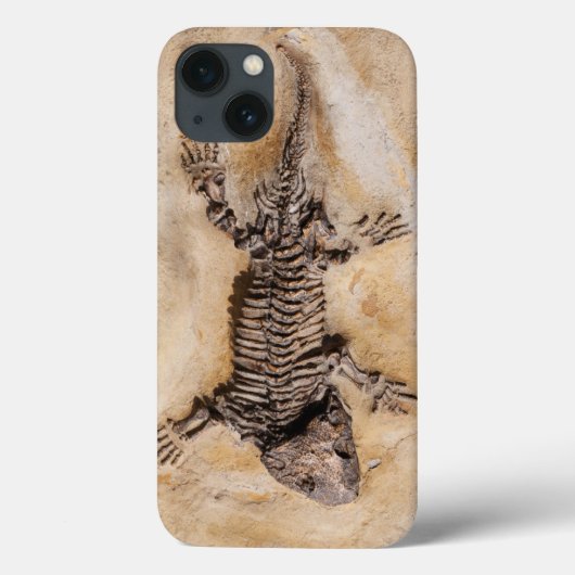 Ancient Dinosaur Fossil in Stone Case-Mate iPhone Hülle (Rückseite)