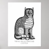 Ancient Fuzzy Cat Poster (Vorne)