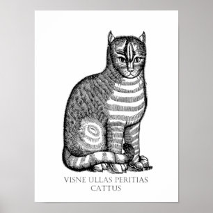 Ancient Fuzzy Cat Poster