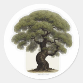 Ancient Ironwood Tree Spirit Aufkleber - WayanGall
