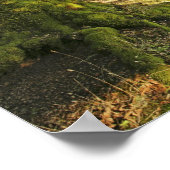 Ancient Oak Tree Poster (Ecke)