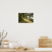 Ancient Oak Tree Poster (Küche)