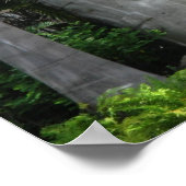 Ancient Olmec Head 2 Poster (Ecke)