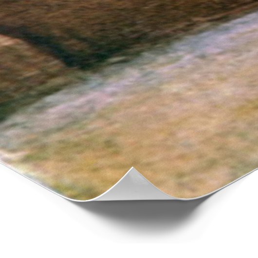 Ancient Roman Historic Architecture Poster (Ecke)