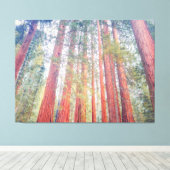Ancient Sequoias Leinwanddruck (Insitu (Holzboden))