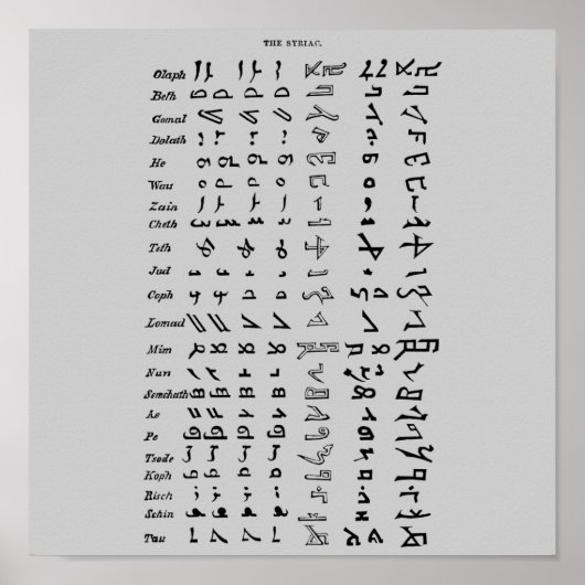 Ancient Syria Alphabet Poster (Vorne)