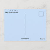 Ancient Theatre of Ohrid North Macedonia Postkarte (Rückseite)