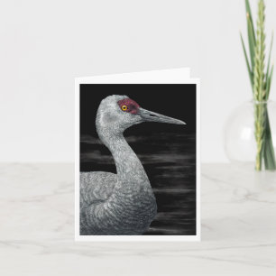 "Ancient Traveller" - Sandhill Crane Card Karte