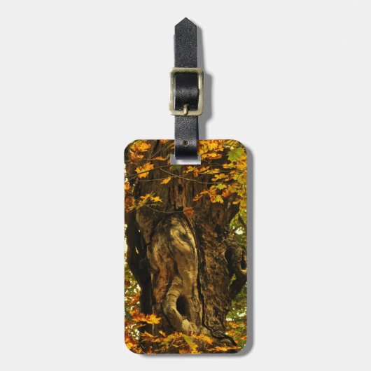 Ancient Tree Luggage Tag Gepäckanhänger (Vorderseite vertikal)