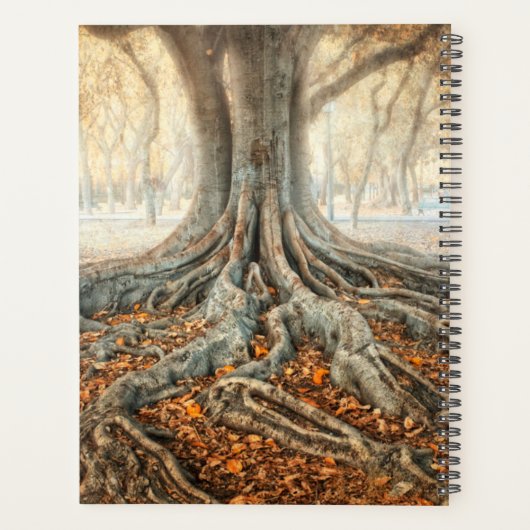 Ancient Tree Roots Planer (Rückseite)