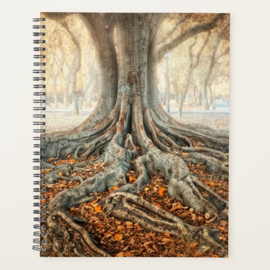 Ancient Tree Roots Planer (Vorderseite)