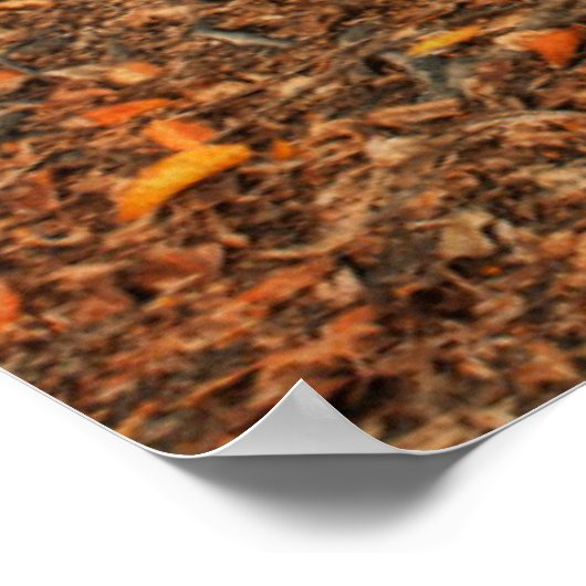 Ancient Tree Roots Poster (Ecke)