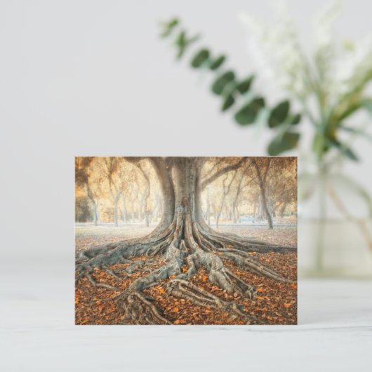 Ancient Tree Roots Postkarte (Stehend Vorderseite)