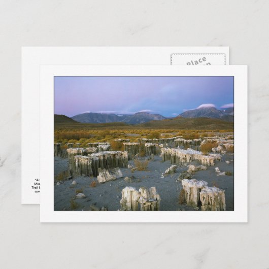 "Ancient Watermark" Postkarte (Vorne/Hinten)