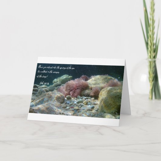 Ancient Waters Card Job 38:16 Karte (Vorderseite)