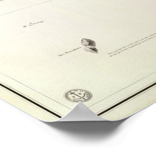 Ancon Peru Poster (Ecke)