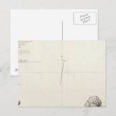 Ancon Peru Postkarte (Vorne/Hinten)