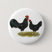 Ancona Chickens Button (Vorderseite)