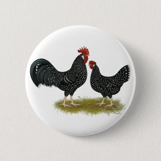Ancona Chickens Button (Vorderseite)
