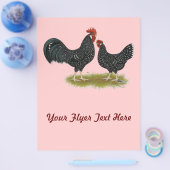 Ancona Chickens Flyer (Einzeln)