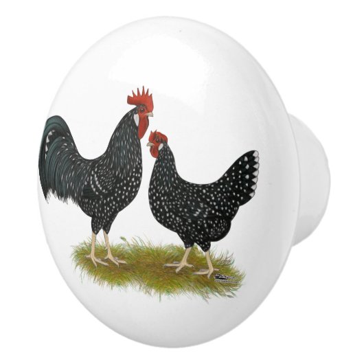 Ancona Chickens Keramikknauf (Rechts)