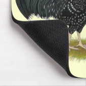 Ancona Chickens Mousepad (Ecke)