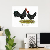 Ancona Chickens Poster (Heimbüro)