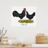 Ancona Chickens Poster (Küche)