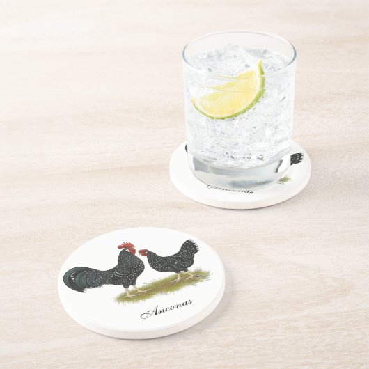 Ancona Chickens Untersetzer (Seite)