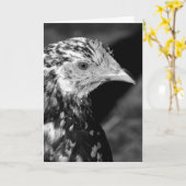 Ancona Hen Karte (Gelbe Blume)