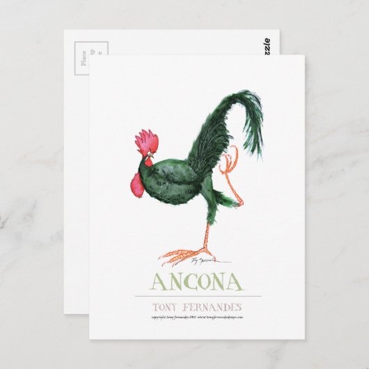 Ancona Hen, tony fernandes Postkarte (Vorne/Hinten)