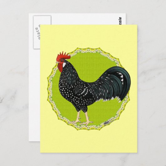Ancona Rooster Postkarte (Vorne/Hinten)