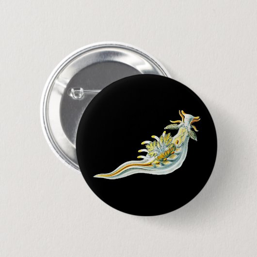 Ancula gibbosa button (Vorne & Hinten)