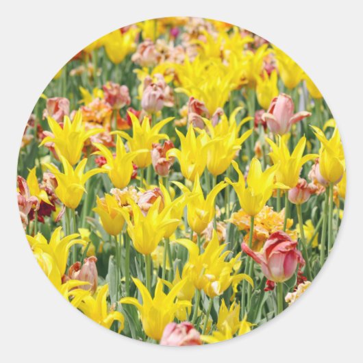 And Life Goes On Runder Aufkleber (Vorderseite)