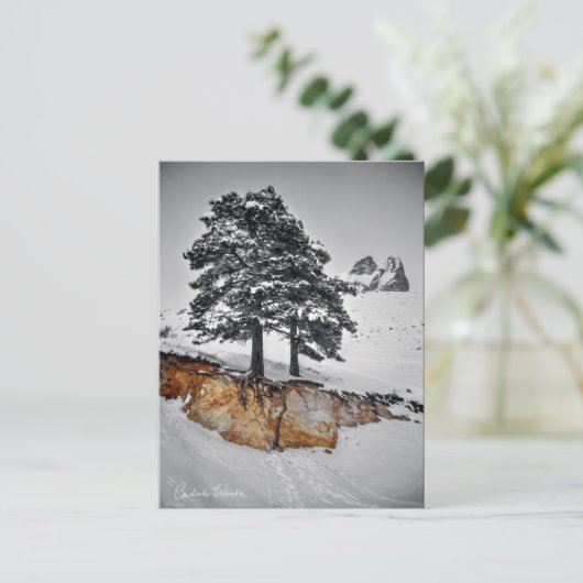 And Yet it Grows Postkarte (Stehend Vorderseite)