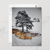 And Yet it Grows Postkarte (Vorne/Hinten)