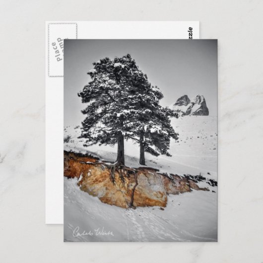 And Yet it Grows Postkarte (Vorne/Hinten)