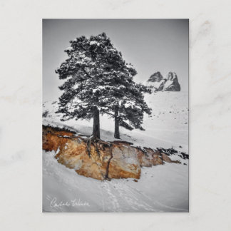 And Yet it Grows Postkarte