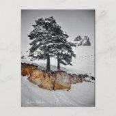 And Yet it Grows Postkarte (Vorderseite)