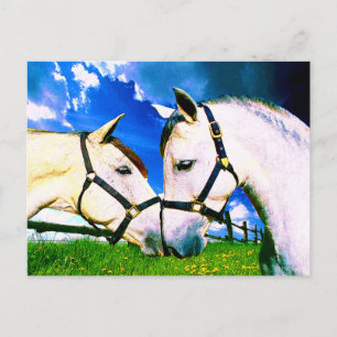 ANDALUSIAN KISS POSTKARTE