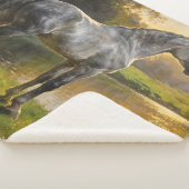 Andalusian Stallion by the Lake Sherpadecke (3/4)