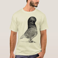 Andalusian Tumbler Pigeon