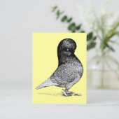 Andalusian Tumbler Postkarte (Stehend Vorderseite)