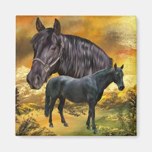 Andalusianisches Pferd Spanische Reitkunst Magnet