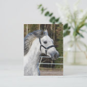 Andalusien 1 postkarte (Stehend Vorderseite)