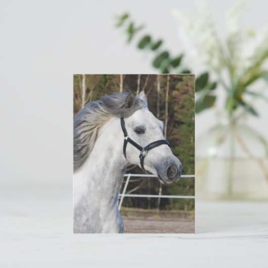 Andalusien 1 postkarte (Stehend Vorderseite)